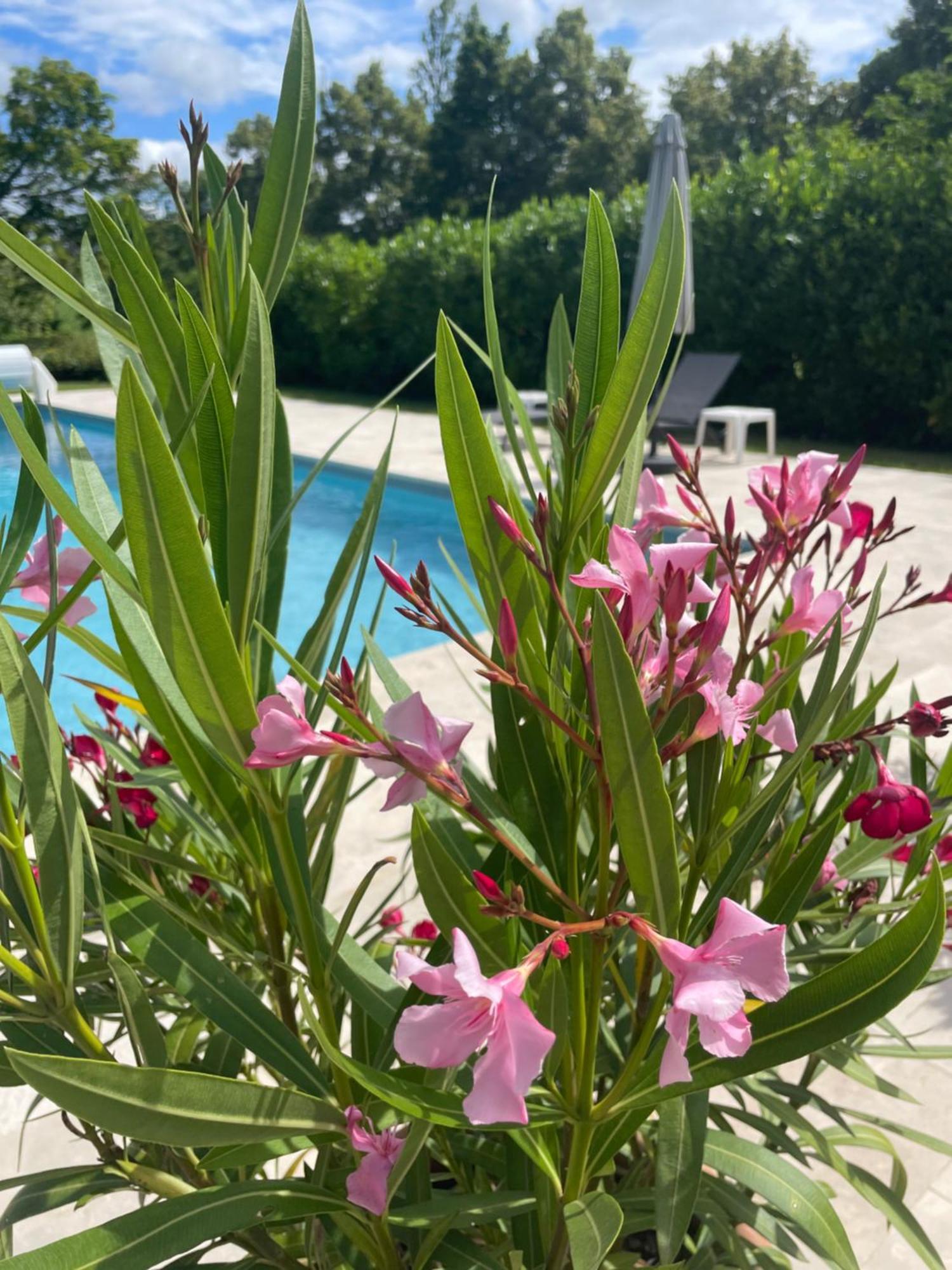 Bed and Breakfast La Grange Du Barry Belveze Екстер'єр фото